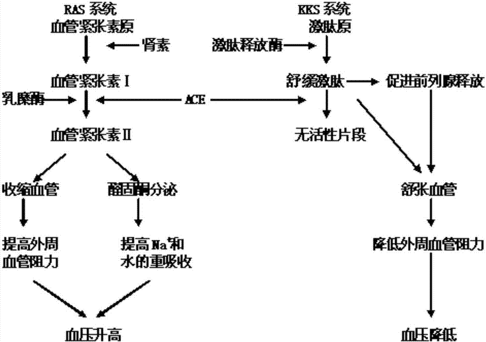 球友会平台为您提供全网最全的体育赛事直播与专业的在线投注服务。高赔率、安全快捷，立即注册体验！
